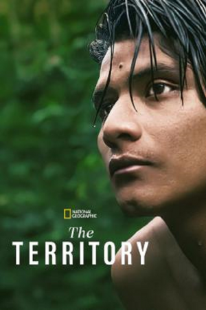 The Territory (2022) The Territory (2022)