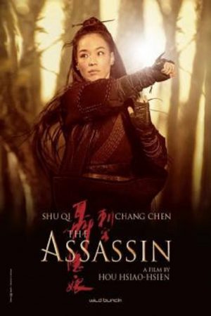 The Assassin (2015) ประกาศิต หงษ์สังหาร The Assassin (2015) ประกาศิต หงษ์สังหาร