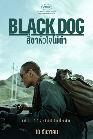 Black Dog (2024) สี่ขาหัวใจไม่ดำ Black Dog (2024) สี่ขาหัวใจไม่ดำ