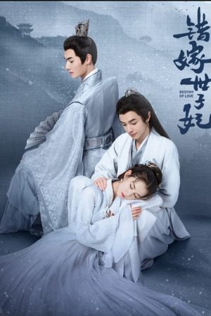 Destiny of Love EP 5