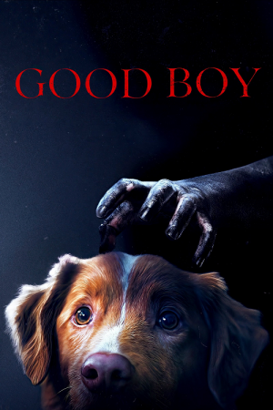 Good Boy (2025) มะหมาเห็นผี Good Boy (2025) มะหมาเห็นผี