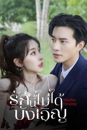 Manbo Destiny (2025) รักนี้ไม่ได้บังเอิญ